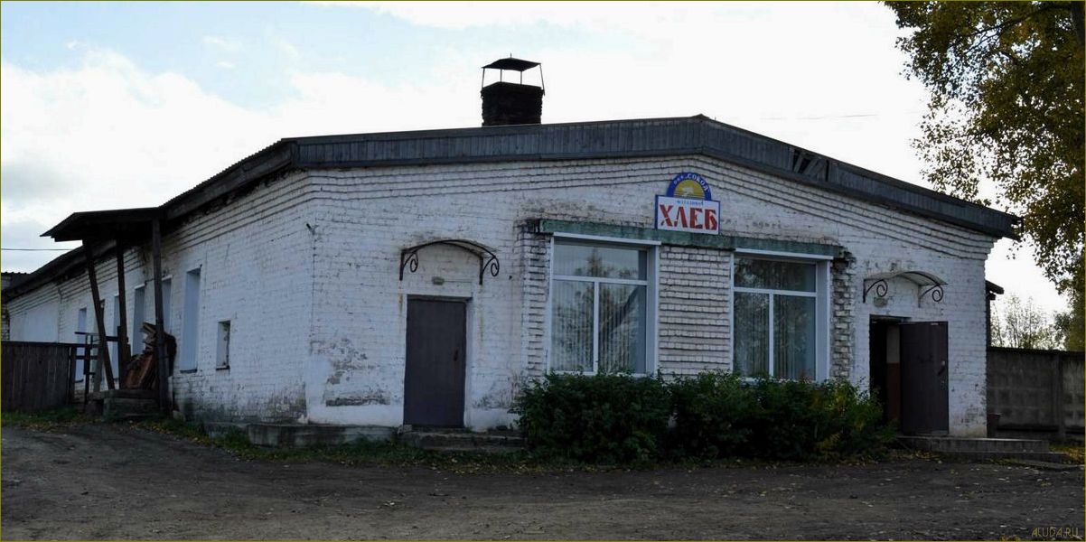 (соколовка, кировская, область, база, отдыха) Соколовка Кировская область — База отдыха с разнообразными возможностями для активного и спокойного времяпрепровождения