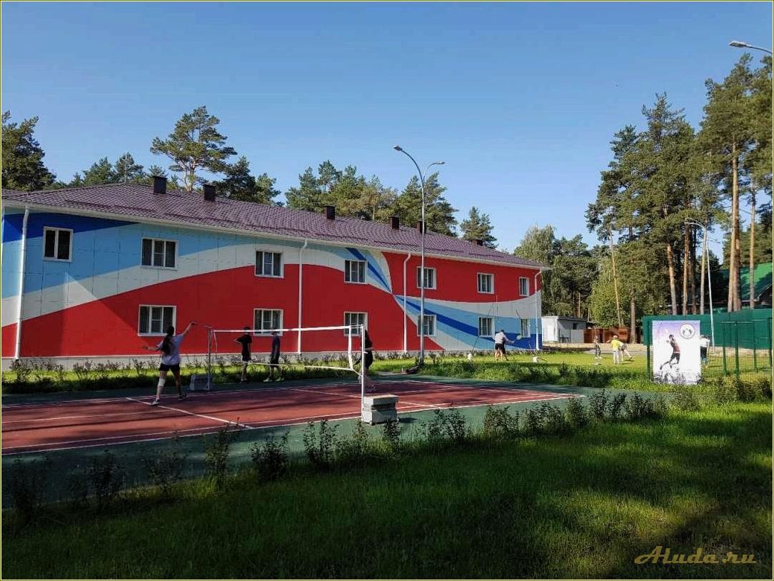 Солотча рязанской области — все базы отдыха для комфортного и активного отдыха в живописном уголке природы