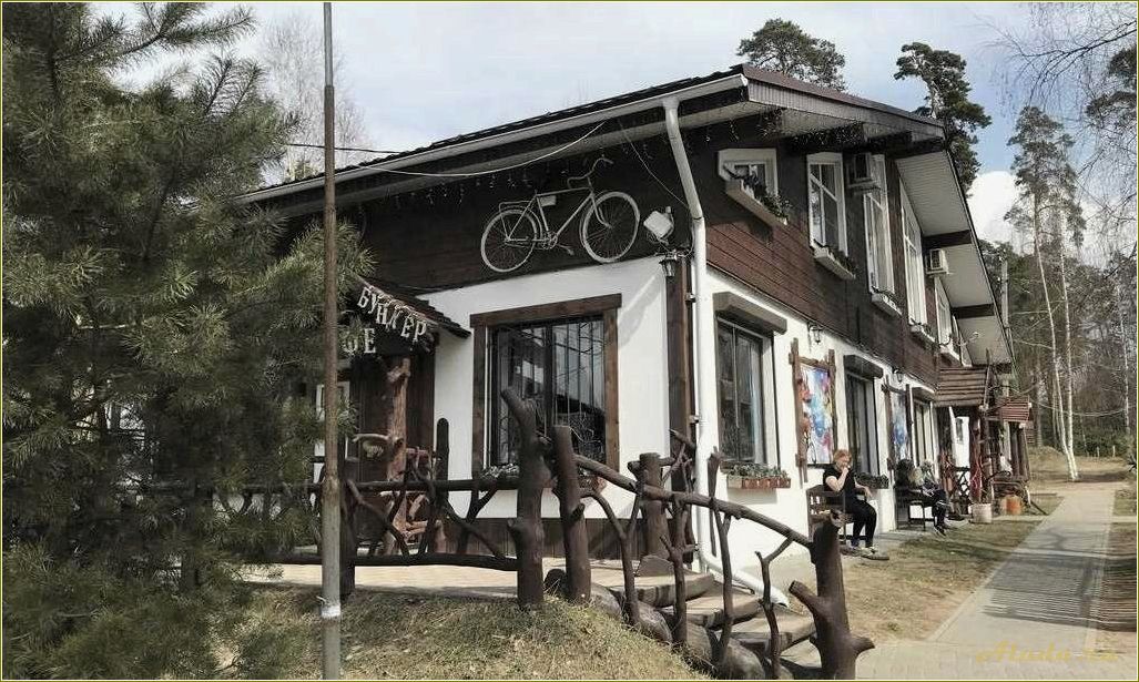 Солотча рязанской области — все базы отдыха для комфортного и активного отдыха в живописном уголке природы