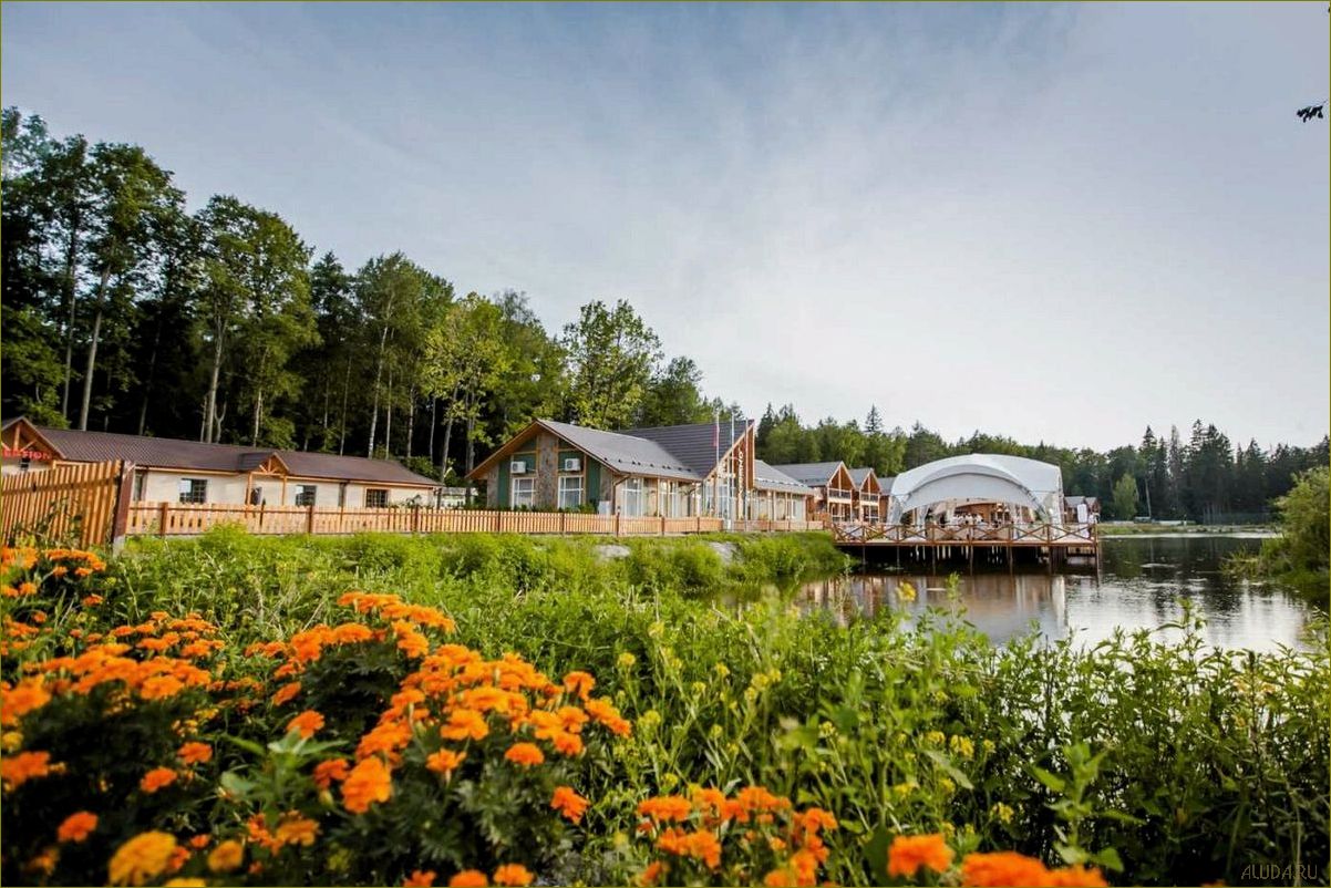 (сосновый, брянской, области, идеальное, место) Сосновый бор в Брянской области — идеальное место для отдыха и релаксации