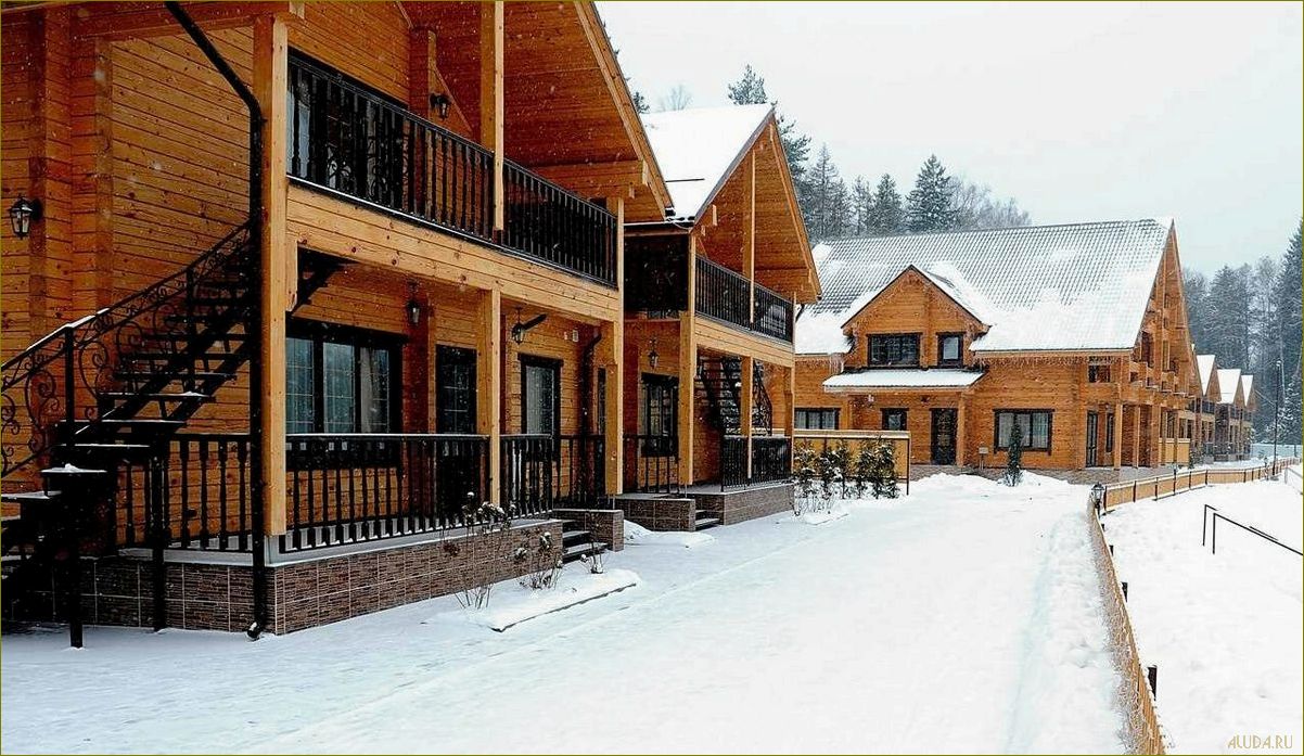 (сосновый, брянской, области, идеальное, место) Сосновый бор в Брянской области — идеальное место для отдыха и релаксации