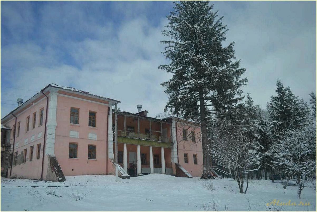 (база, отдыха, сосновка, ульяновской, области) База отдыха