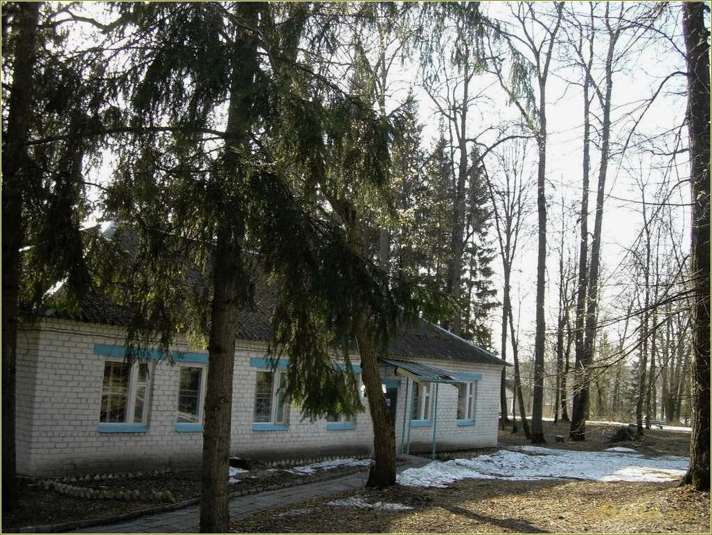(база, отдыха, сосновка, ульяновской, области) База отдыха
