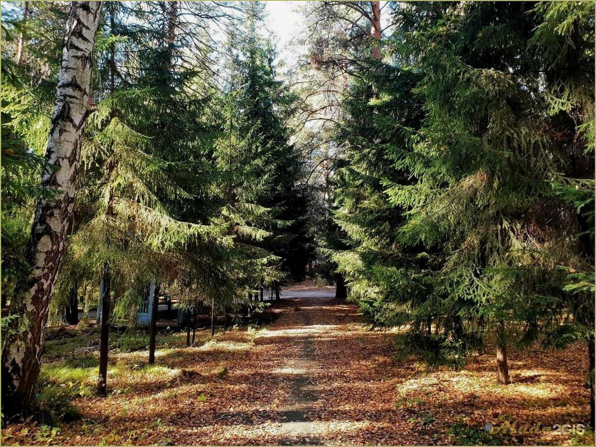 (база, отдыха, сосновка, ульяновской, области) База отдыха