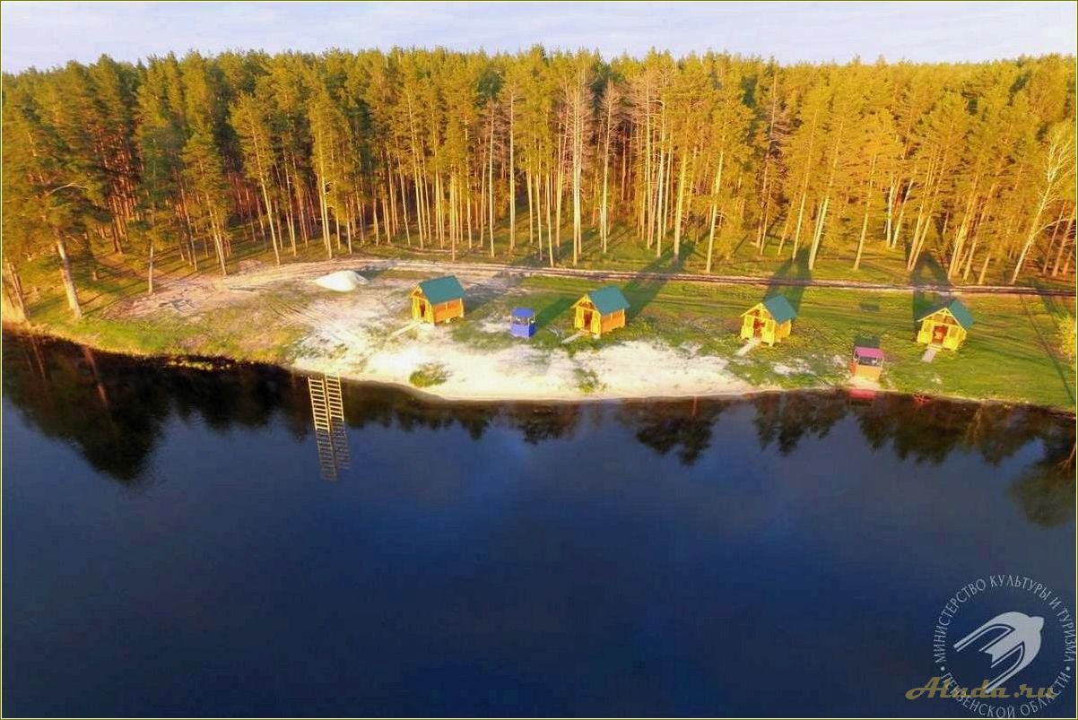 (база, отдыха, сосновка, ульяновской, области) База отдыха