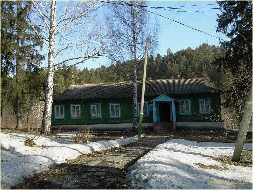 (база, отдыха, сосновка, ульяновской, области) База отдыха