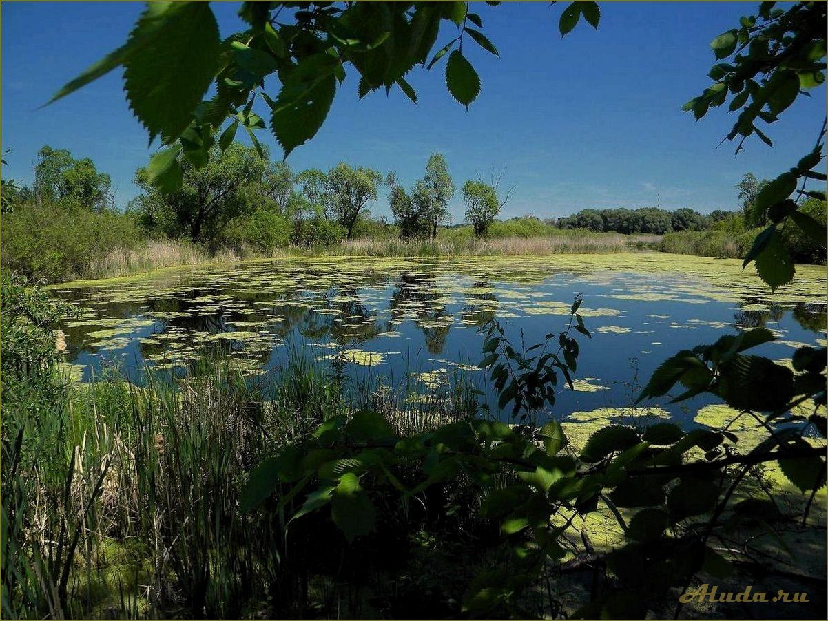 (тамбовская, область, отдых, озере) Тамбовская область: отдых на озере