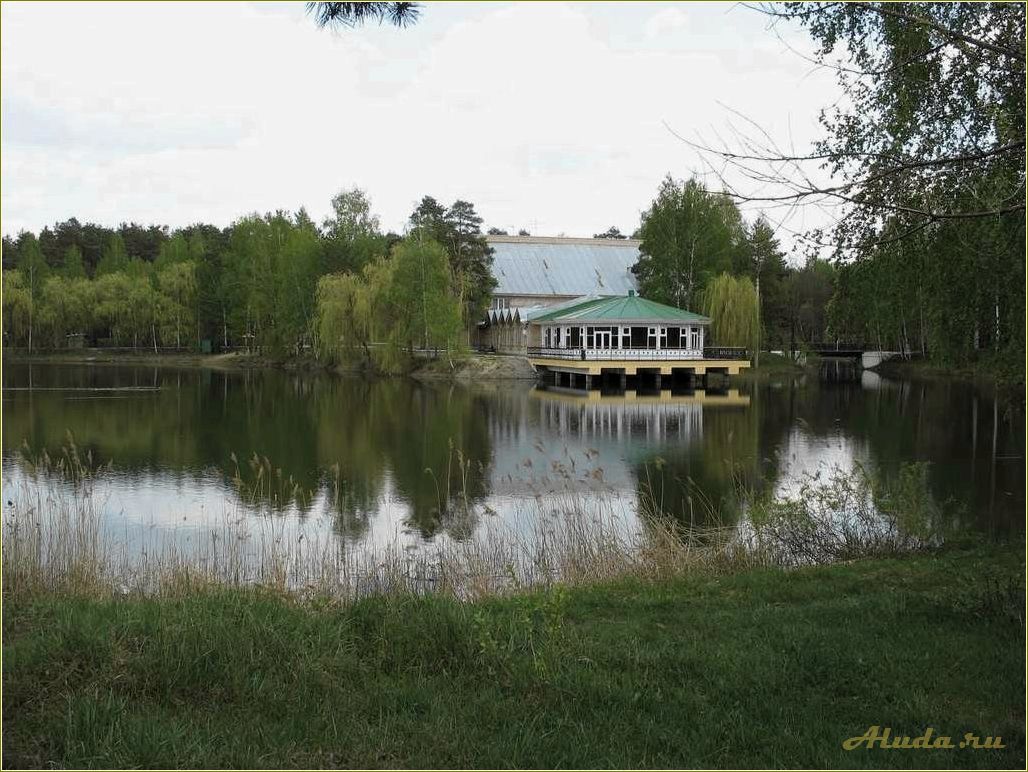 (тамбовская, область, отдых, озере) Тамбовская область: отдых на озере