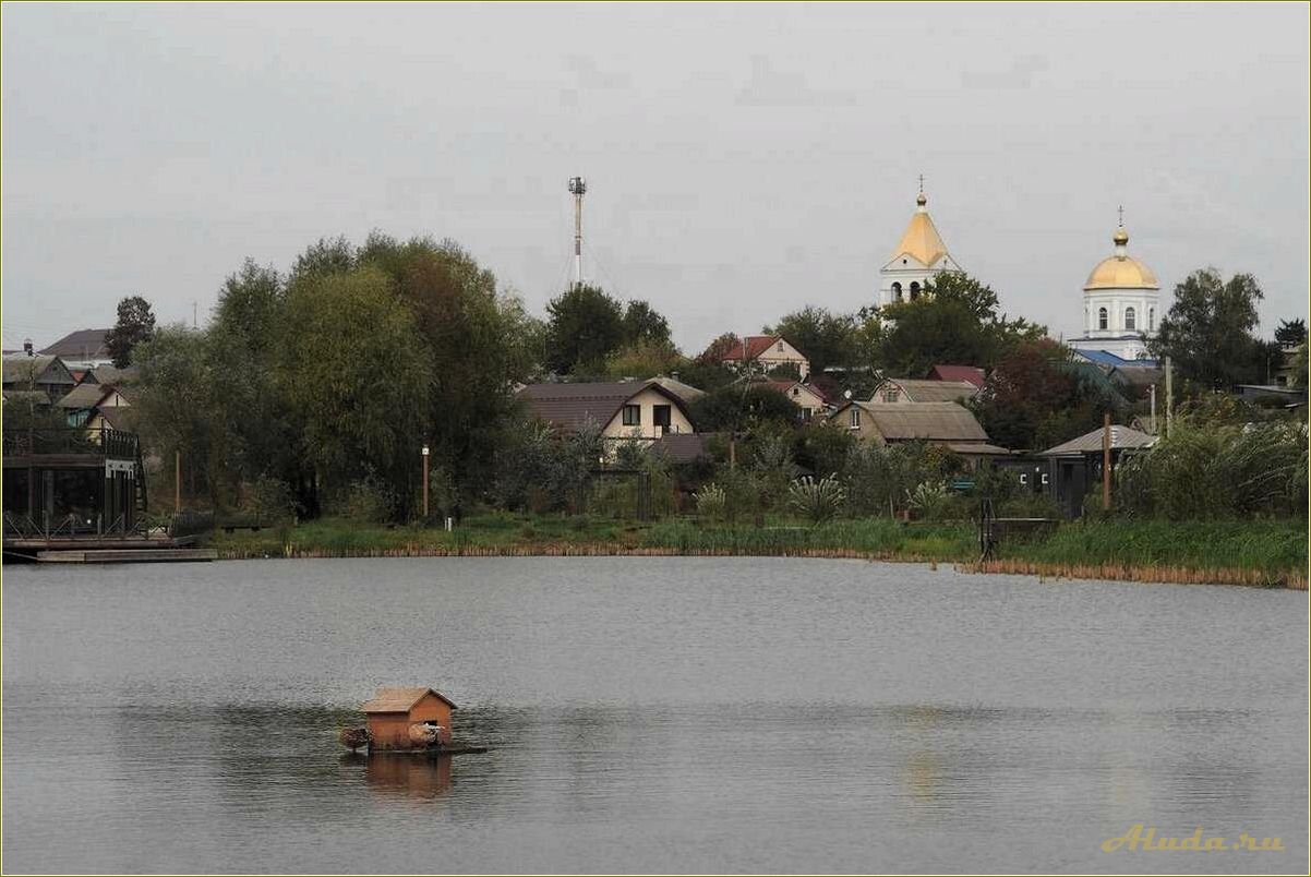 (тамбовская, область, отдых, озере) Тамбовская область: отдых на озере