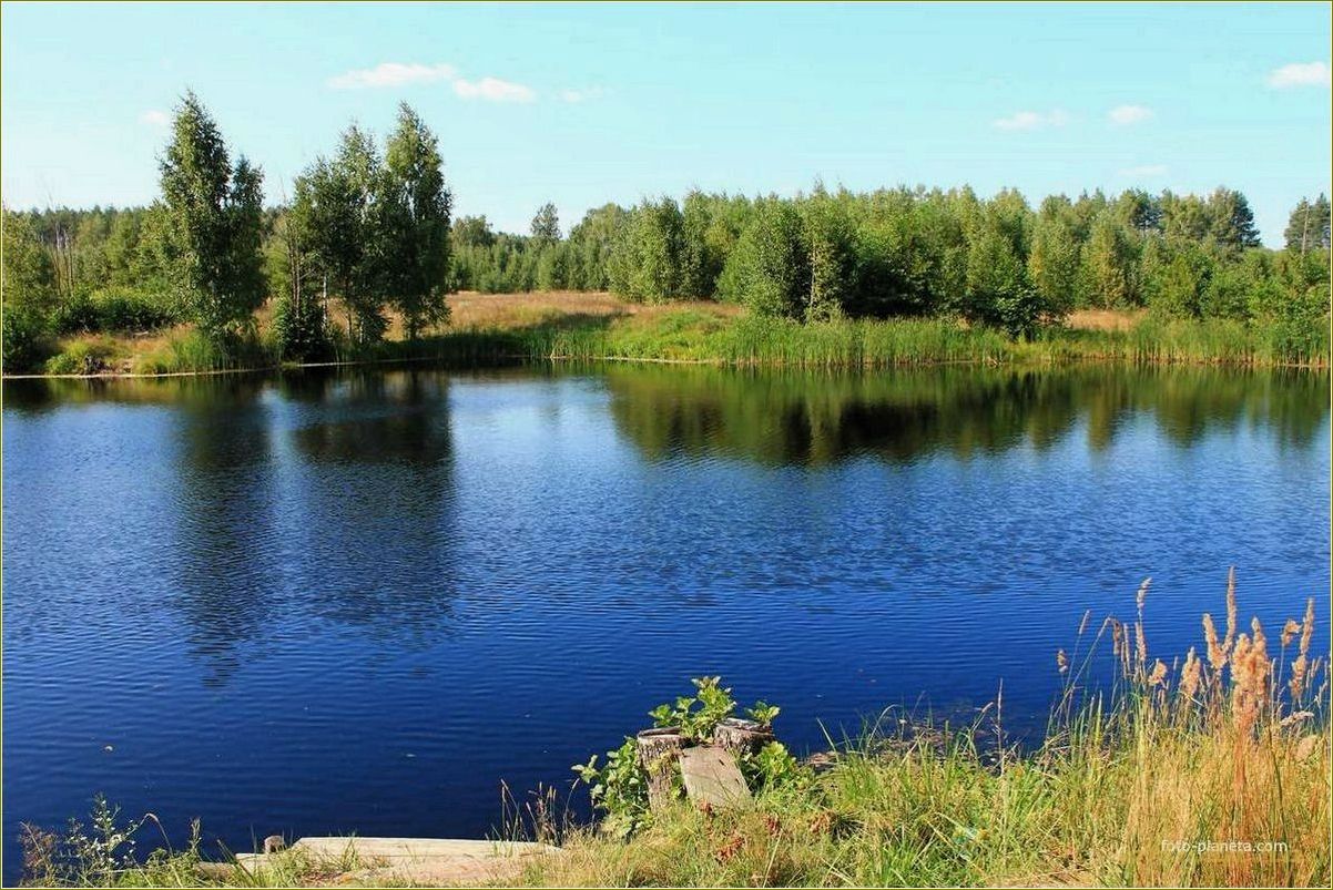 (тамбовская, область, отдых, озере) Тамбовская область: отдых на озере