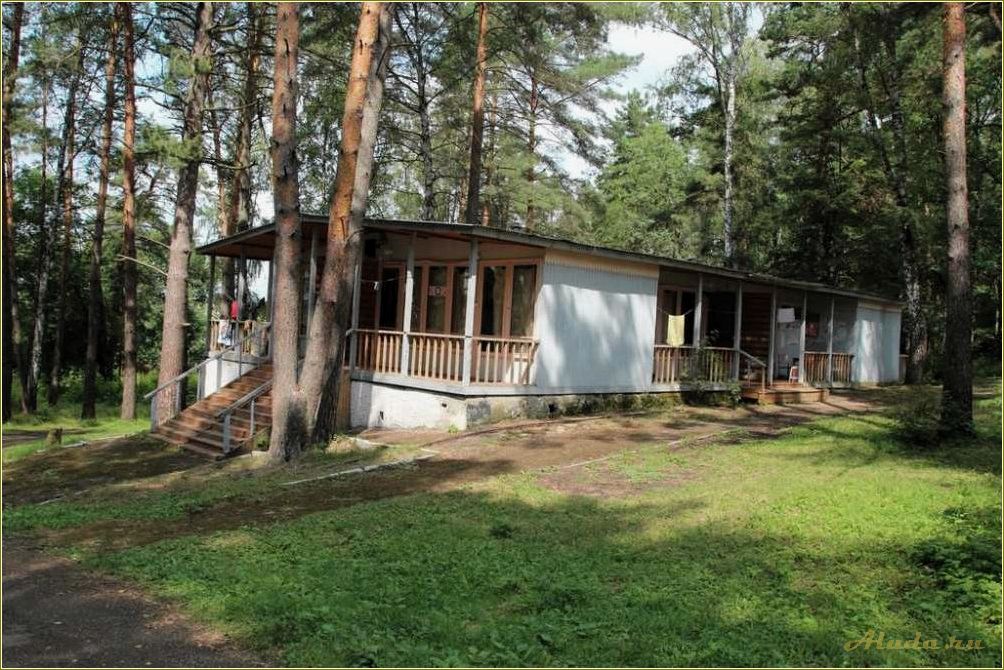 Тульская область база отдыха фото