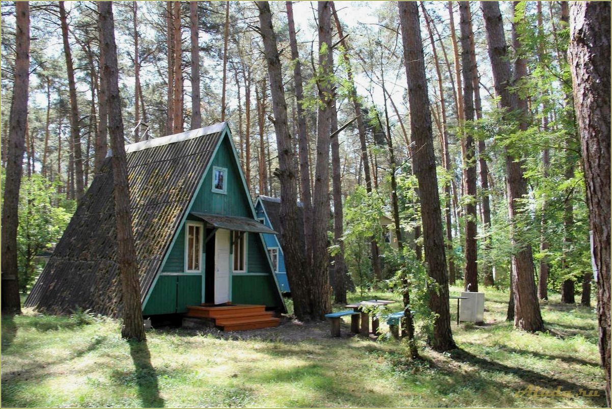 Тульская область база отдыха фото