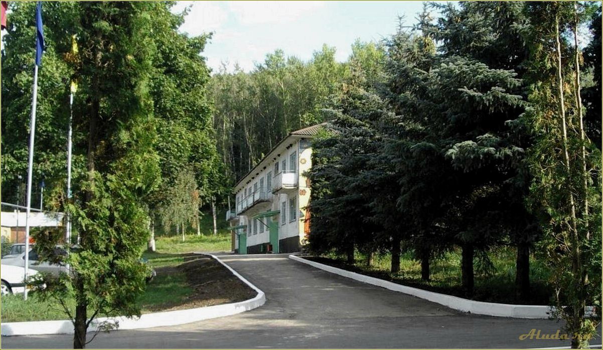 Тульская область база отдыха фото