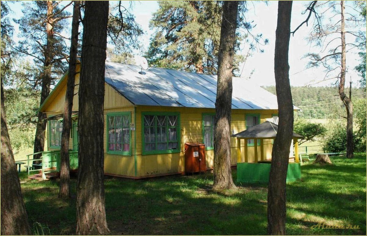 Тульская область база отдыха фото