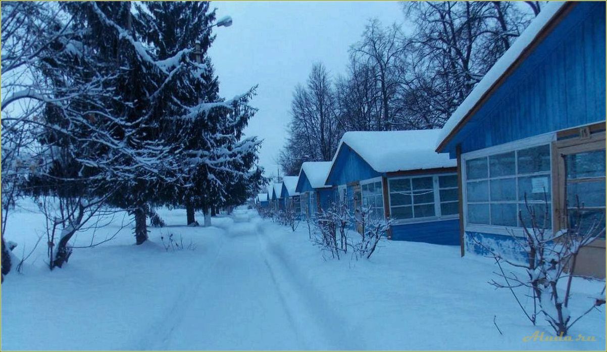 Тульская область база отдыха фото