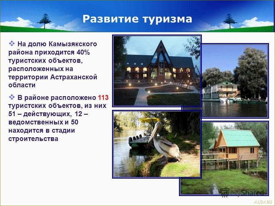 Разнообразие видов туризма в Астраханской области — от путешествий по водным просторам Волги до экскурсий в исторические города 