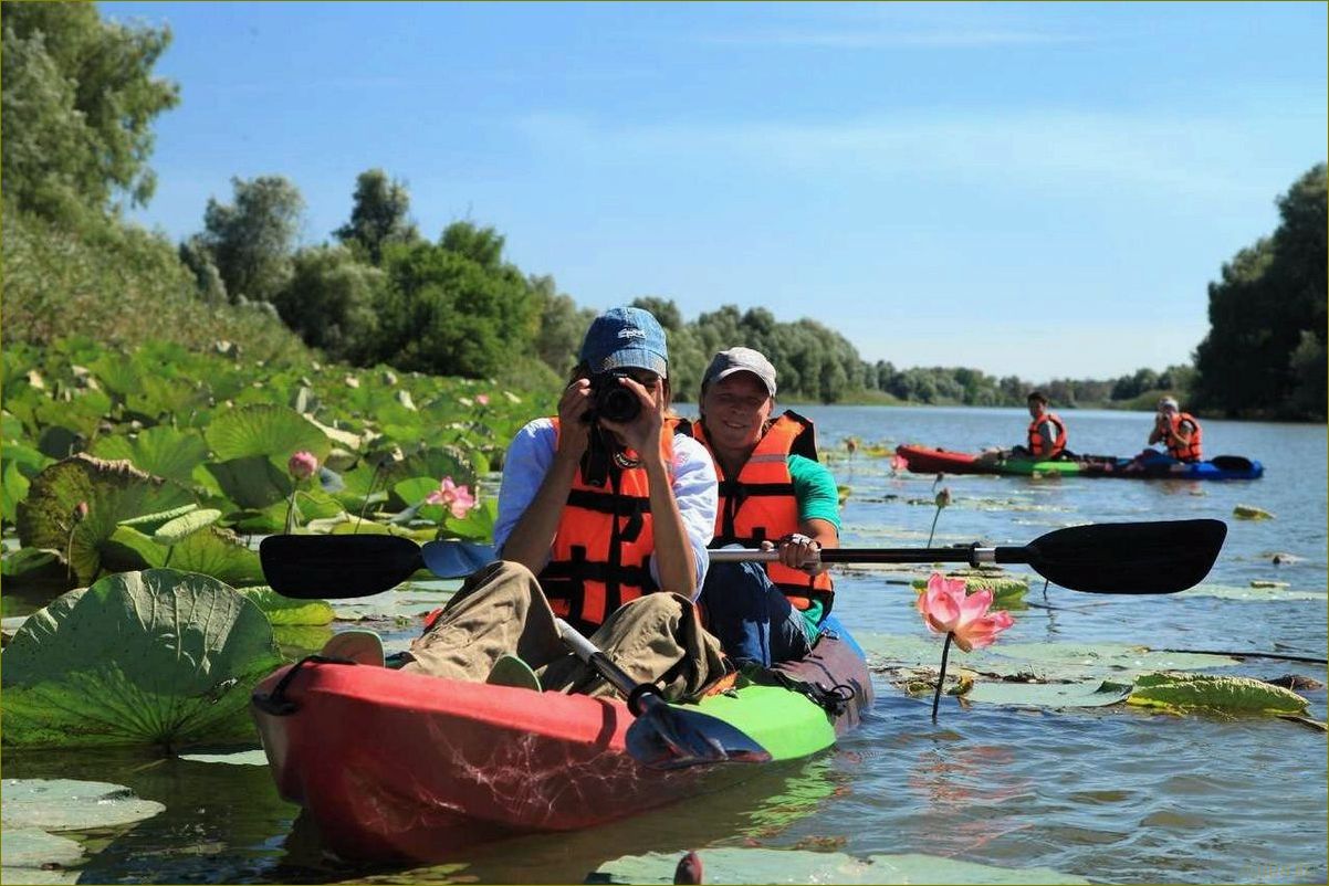 Разнообразие видов туризма в Астраханской области — от путешествий по водным просторам Волги до экскурсий в исторические города 