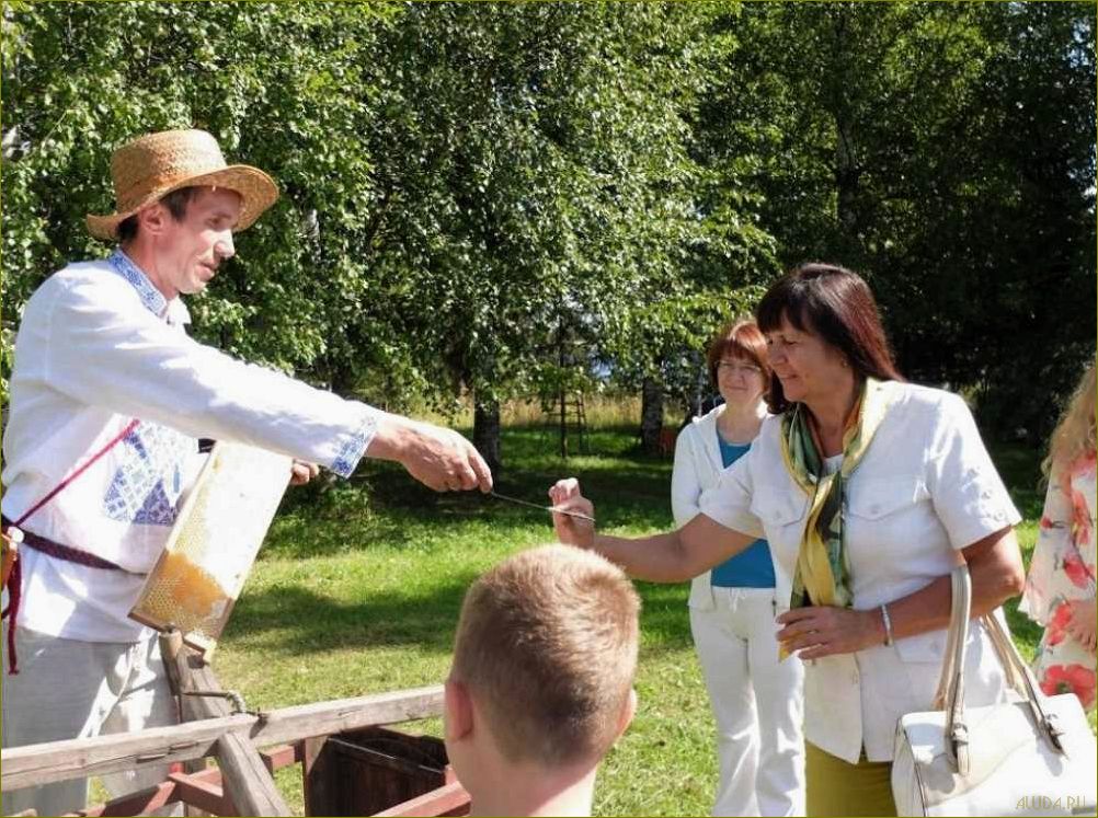Вологодская область — уникальное направление для сельского туризма, которое позволит вам окунуться в атмосферу древних деревень 