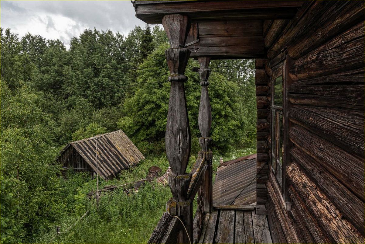 Вологодская область — уникальное направление для сельского туризма, которое позволит вам окунуться в атмосферу древних деревень 