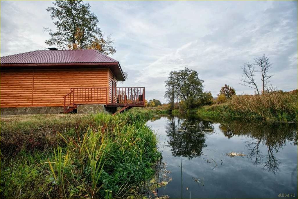 Воронежская область предлагает идеальное место для отдыха и релаксации — база отдыха с уютной баней в окружении прекрасной природы