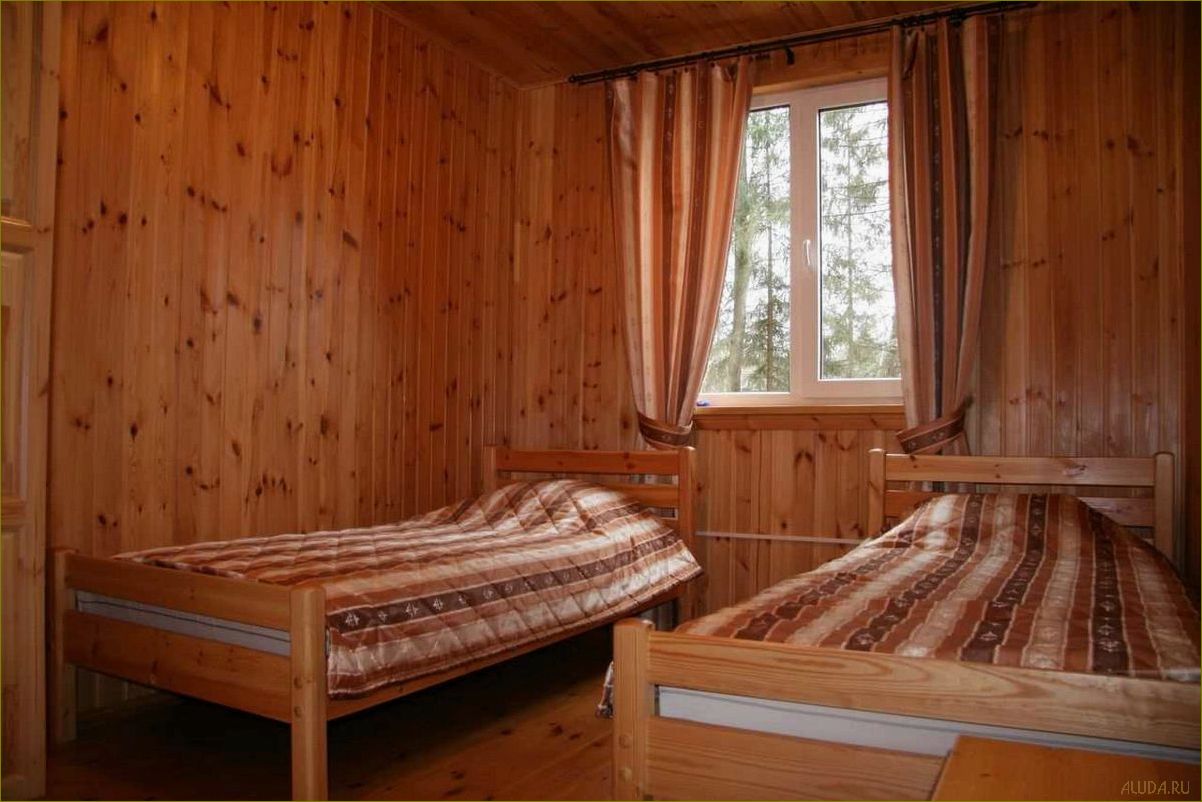 Вороново — идеальная база отдыха в Ленинградской области для полного релакса и наслаждения природой