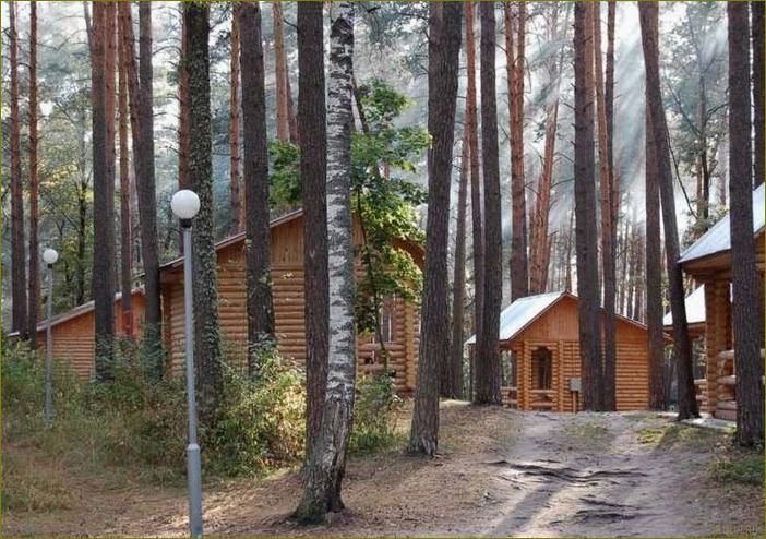 (аренда, отдыха, воронежской, области, откройте) Аренда баз отдыха в Воронежской области — откройте для себя идеальное место для отдыха и развлечений