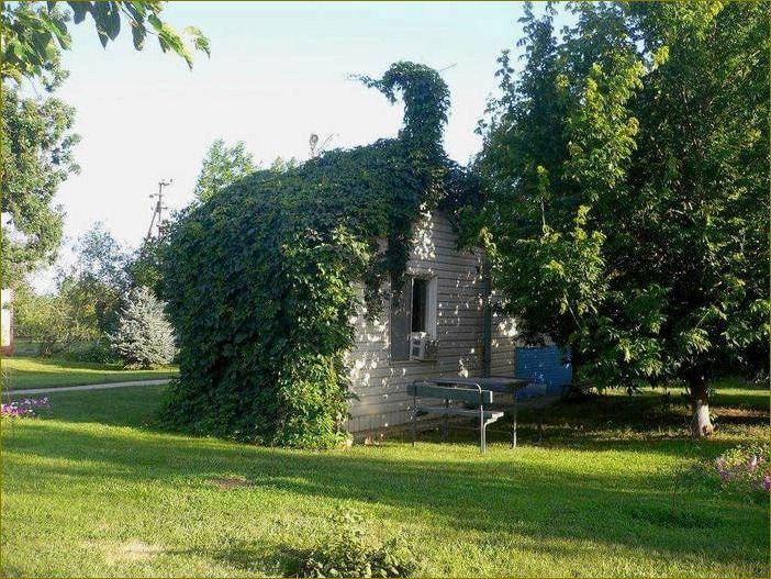 Астраханская область — Камызякский район. База отдыха 