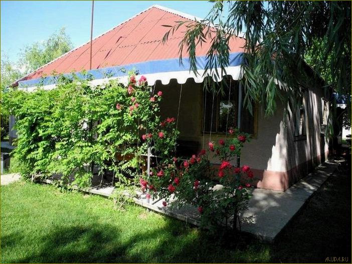 Астраханская область — Камызякский район. База отдыха 