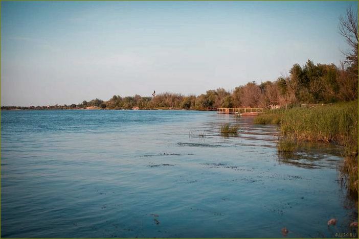 Астраханская область — Камызякский район. База отдыха 