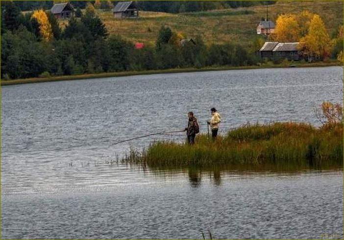 (база, отдыха, андозеро, вологодской, области) База отдыха
