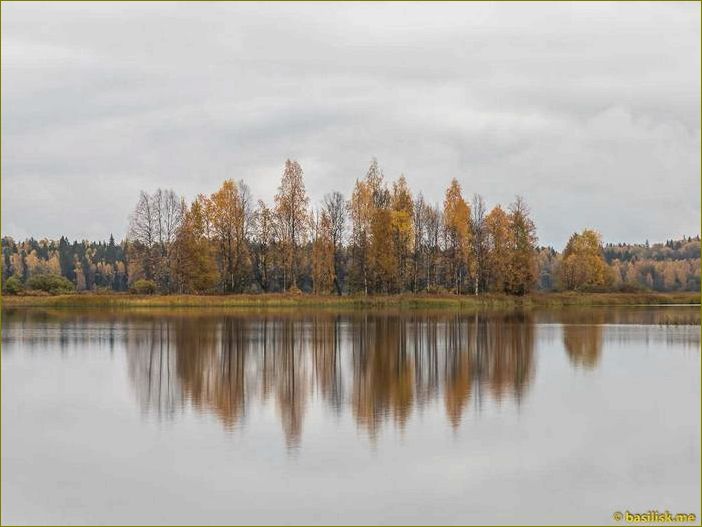 (база, отдыха, андозеро, вологодской, области) База отдыха