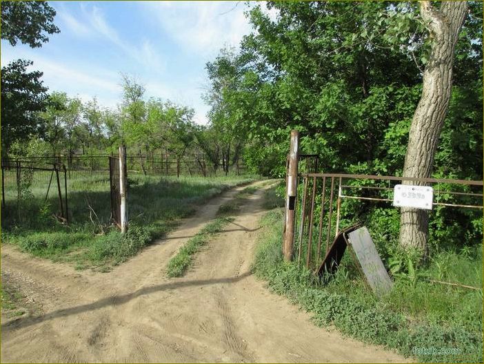 Уникальные возможности отдыха на базе отдыха 