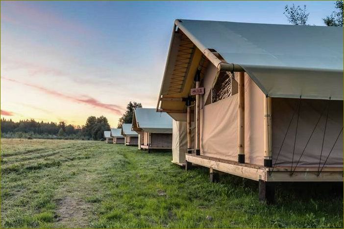 Уникальная база отдыха в Ленинградской области, где кемпинг становится незабываемым приключением