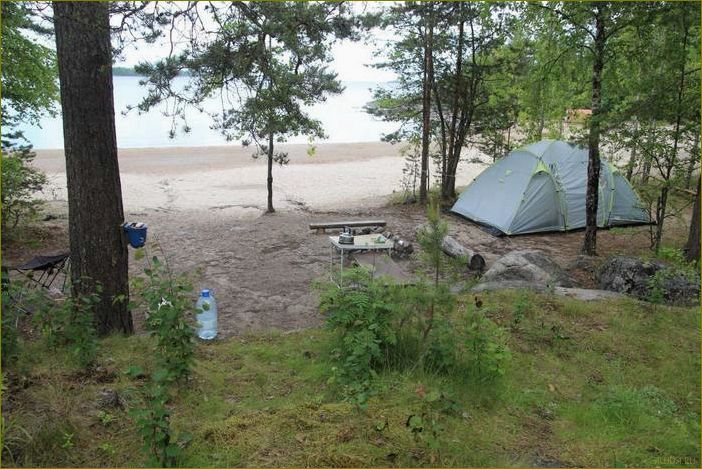 Уникальная база отдыха в Ленинградской области, где кемпинг становится незабываемым приключением