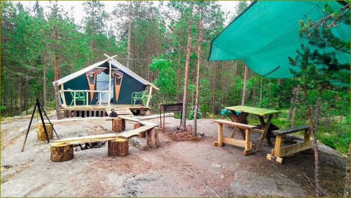 Уникальная база отдыха в Ленинградской области, где кемпинг становится незабываемым приключением