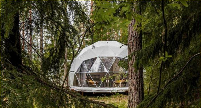 Уникальная база отдыха в Ленинградской области, где кемпинг становится незабываемым приключением