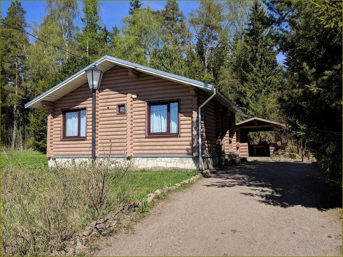 Уникальная база отдыха в Ленинградской области, где кемпинг становится незабываемым приключением