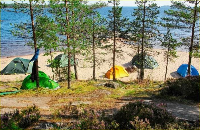Уникальная база отдыха в Ленинградской области, где кемпинг становится незабываемым приключением