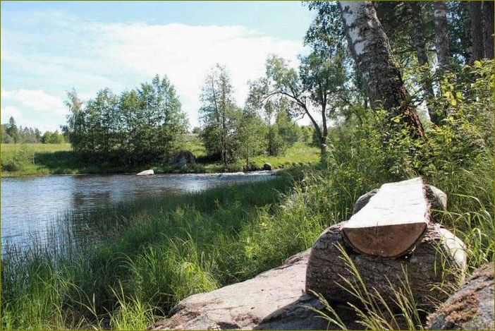 База отдыха 