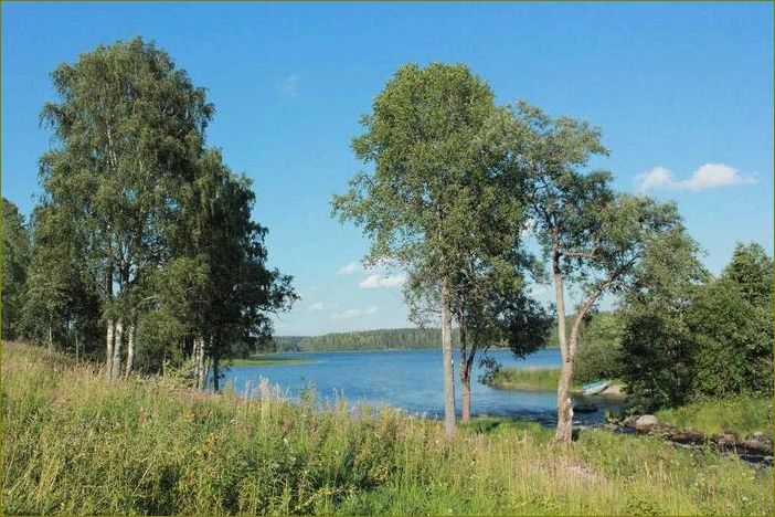 База отдыха 