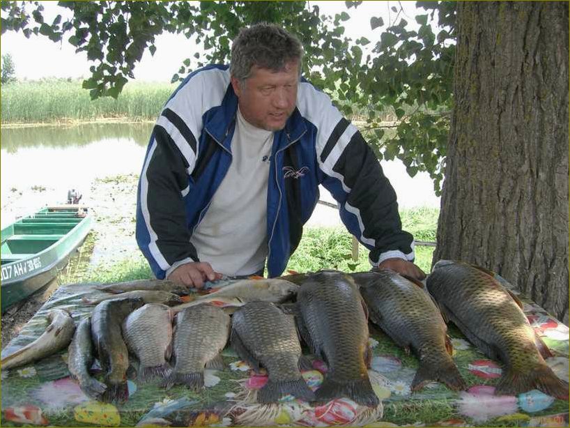 (база, отдыха, бакланенок, астраханской, области) База отдыха