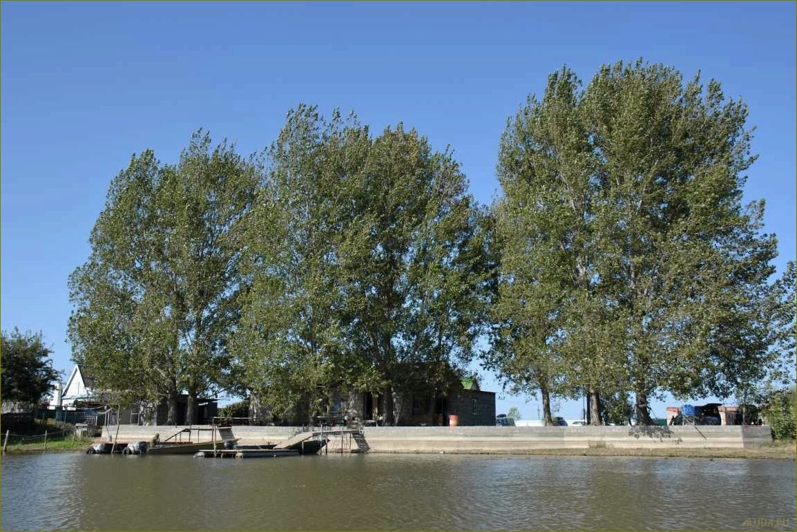 (база, отдыха, бакланенок, астраханской, области) База отдыха