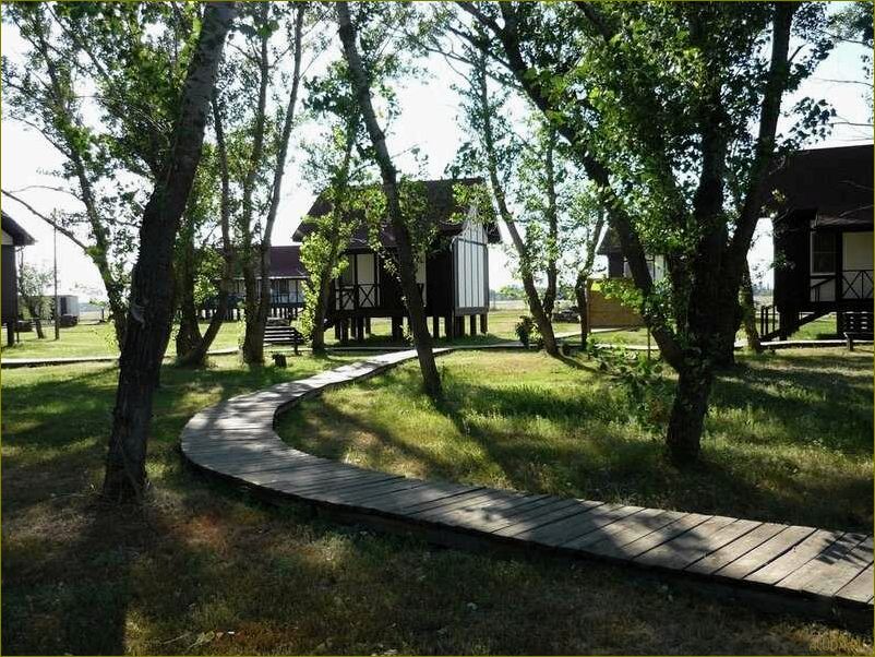 Прекрасная база отдыха для детей в Волгоградской области — идеальное место для активного отдыха и развития малышей