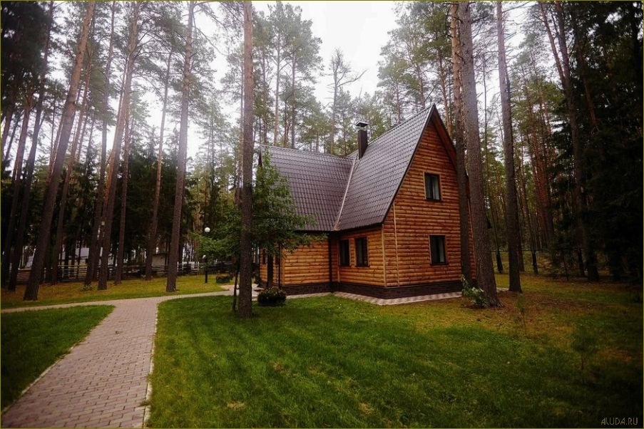 База отдыха в живописном городе Жуковка в Брянской области — идеальное место для релакса и развлечений