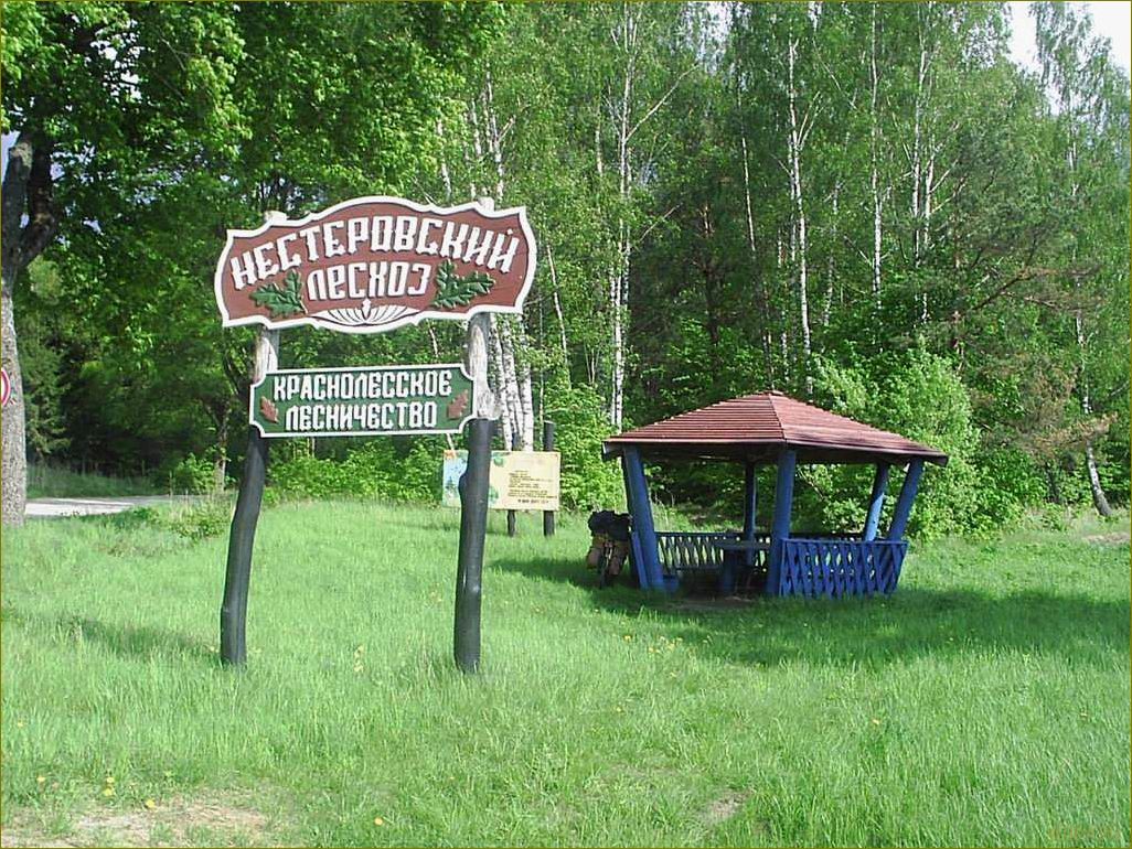 База отдыха 