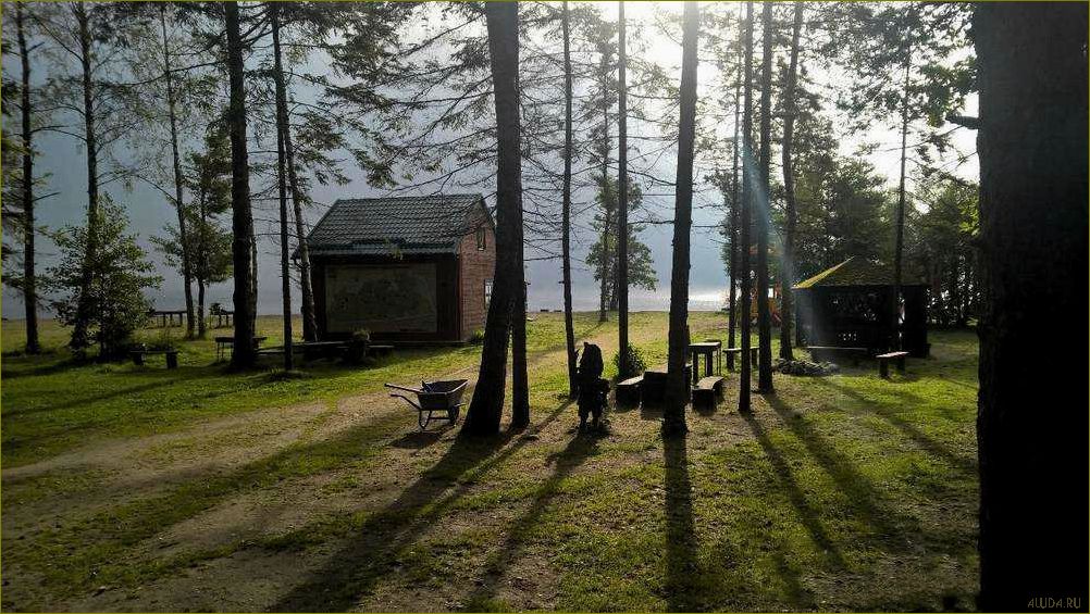 База отдыха 