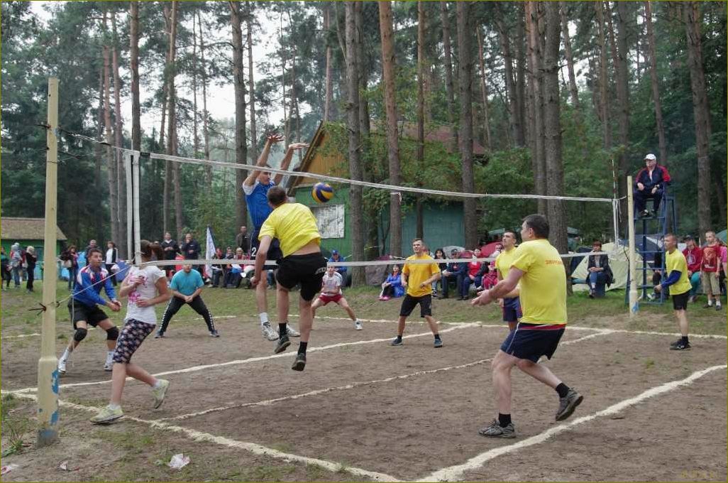 База отдыха 