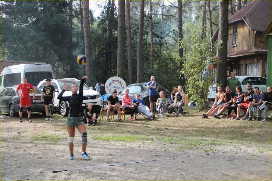 База отдыха 