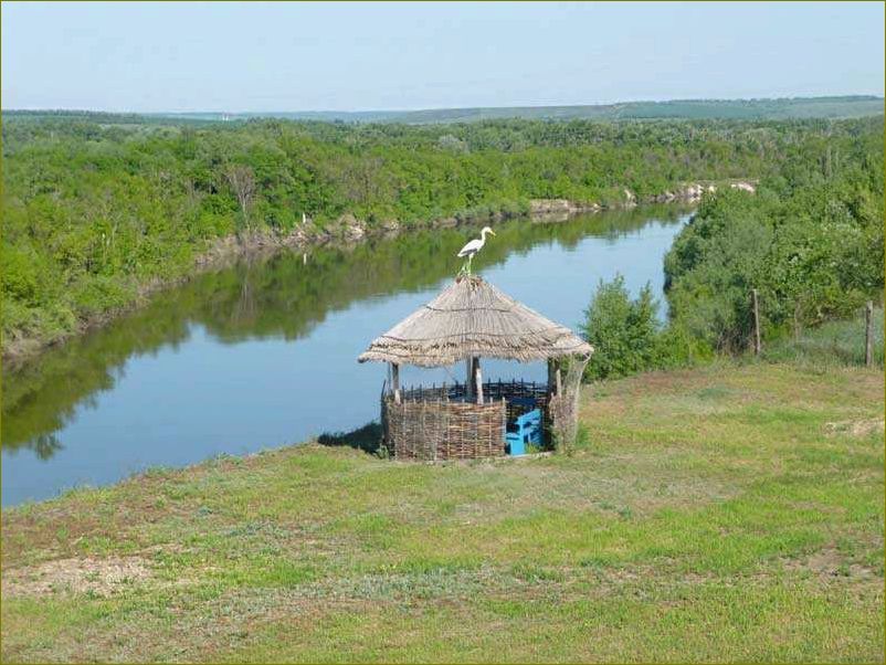 Уникальная база отдыха в Котовском районе Волгоградской области — идеальное место для спокойного отдыха вашего питомца
