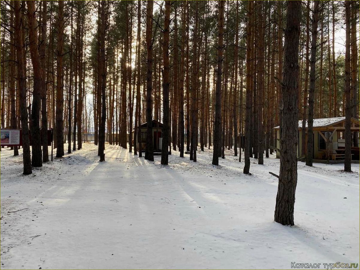 Уникальная база отдыха в Котовском районе Волгоградской области — идеальное место для спокойного отдыха вашего питомца
